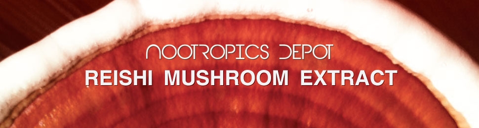 08uCueOSimu. UX970 TTW Nootropics Depot Red Reishi Mushroom Powder | 8:1 Extract | 30 Grams | Ganoderma lucidum | Organic Whole Fruiting Body Mushroom Zenco