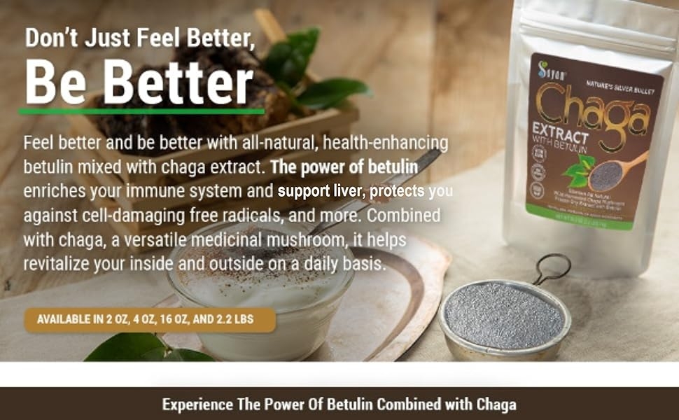 Sayan chaga antioxidants mushrooms chaga powder chaga tea