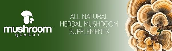 mushroom remedy green banner