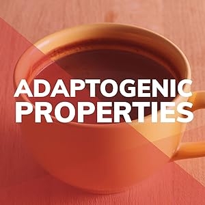 Adaptogenic Powders Properties Adaptogen Wild Foods Mushroom Extract Clean Real Food Healthy Supple