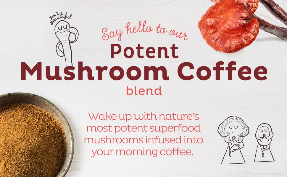 kos naturals mushroom blend chocolate mocha coffee