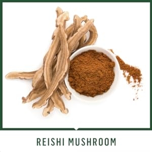 reishi, mushroom, juice, cleanse, immunity, cold pressed