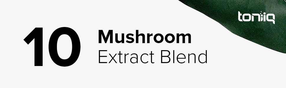 Mushroom Coffee