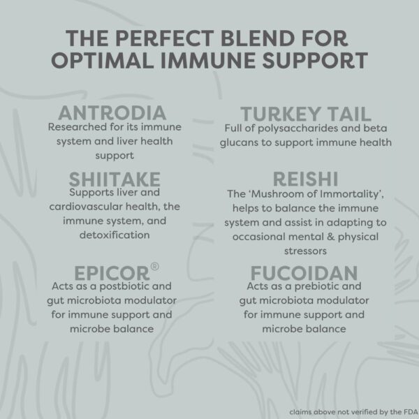 Organic Mushroom Blend | Organic Mushroom Supplement Powder | 10 Mushroom Mix | Powerful Gut, Energy & Immune Mushroom Complex |