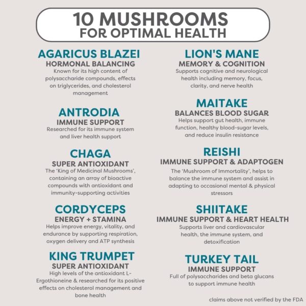 Organic Mushroom Blend | Organic Mushroom Supplement Powder | 10 Mushroom Mix | Powerful Gut, Energy & Immune Mushroom Complex |