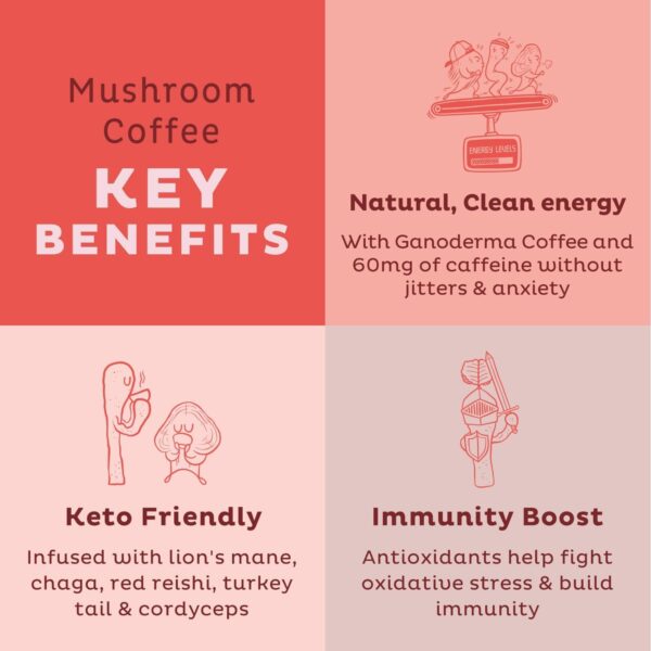 KOS Mushroom Coffee – Dark Chocolate Mocha Flavor – Organic Instant Coffee Mix with Reishi, Cordyceps, Lion’s Mane, Chaga &