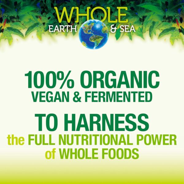 Natural Factors Whole Earth & Sea from, Organic Fermented Greens, Vegan Whole Food Supplement, Chocolate, 7.7 Oz