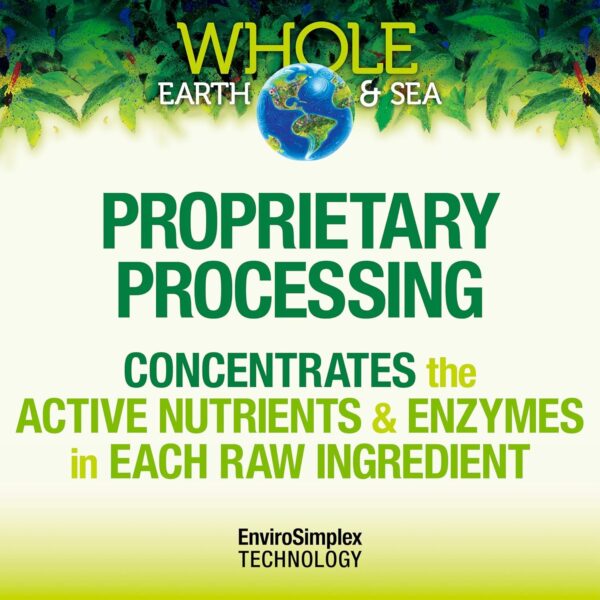 Natural Factors Whole Earth & Sea from, Organic Fermented Greens, Vegan Whole Food Supplement, Chocolate, 7.7 Oz