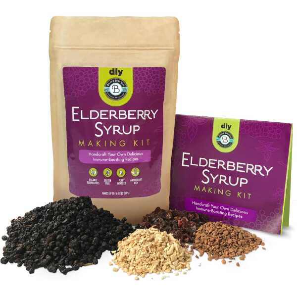 Elderberry Syrup Kit Organic – Make 12-24oz | with Dried Elderberries (Sambucus), Cinnamon, Rosehips, & Ginger – for Adults + Kids – by Birds & Bees Teas