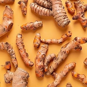 TURMERIC