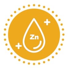 zinc