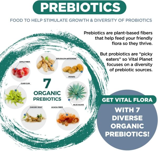 Vital Planet – Vital Flora Ultra Daily Probiotic 60 Billion CFU, Diverse Strains, Organic Prebiotics, Immune Support, Bloating Relief, Digestive Health Probiotics for Women and Men 60 Capsules