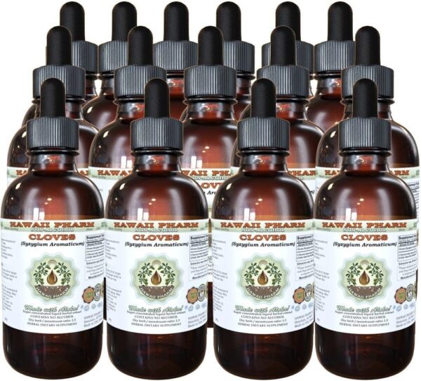 Hawaii Pharm Cloves Alcohol-Free Liquid Extract, Organic Cloves (Syzygium Aromaticum) Dried Flower Buds Glycerite Natural Herbal Supplement 2 oz