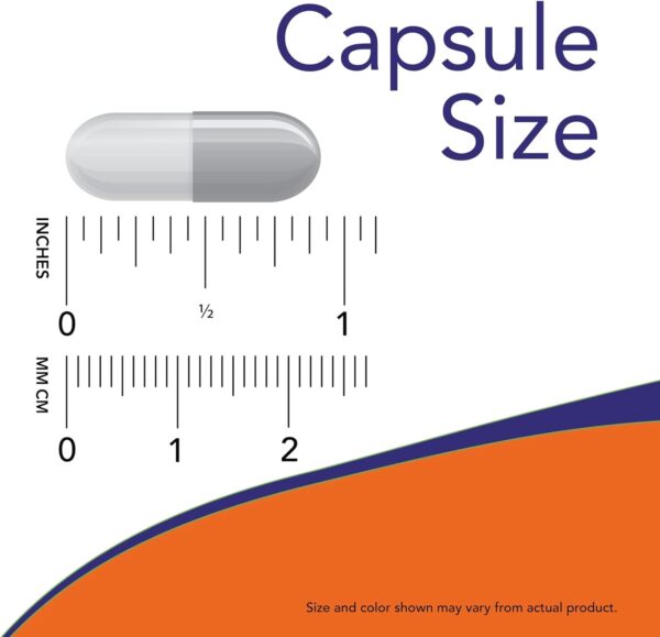 NOW Foods Phosphatidyl Serine 100mg,(2 x 120) 240 Veg Capsules