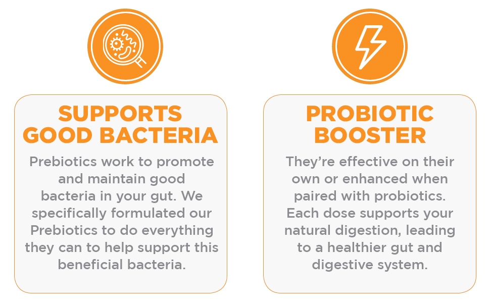 multiform vitamins, multiform, vitamins, vitamin, prebiotics, probiotics, shelf stable, support