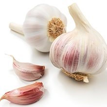 Garlic, Allium sativa, garlic bulb, immune system vitamin, dietary supplement, herbal, vegetarian