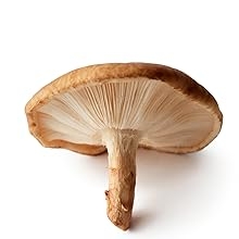 Shiitake Mushroom