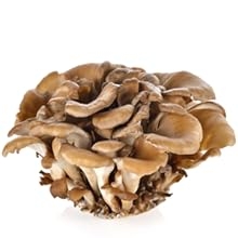 Maiitake Mushrooms
