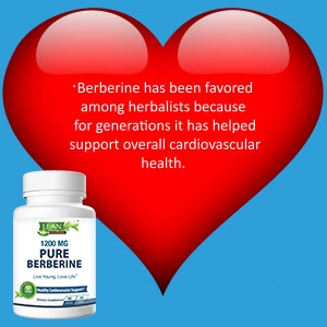 natural vegan berberine extract supplement for men women for healthy cholesterol and heart wellness