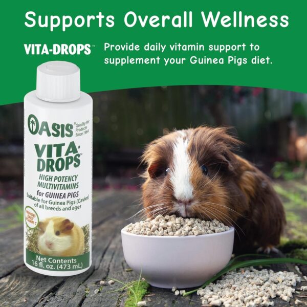 OASIS 80069 Guinea Pig Vita-Drop Vitamins, 16-Ounce liquid multivitamin with Vitamin C