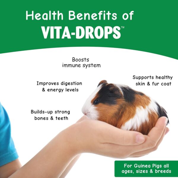 OASIS 80069 Guinea Pig Vita-Drop Vitamins, 16-Ounce liquid multivitamin with Vitamin C