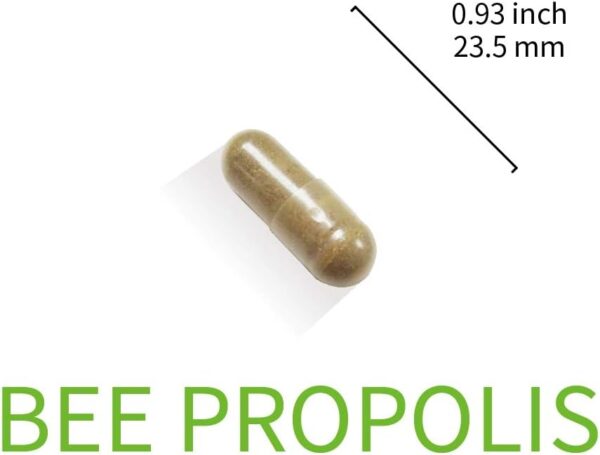 Bee Propolis Capsule | 4000mg Equivalent | 5:1 Concentration | Natural Propolis Extract | 30 Vegetarian Capsules (1 Months Supply)