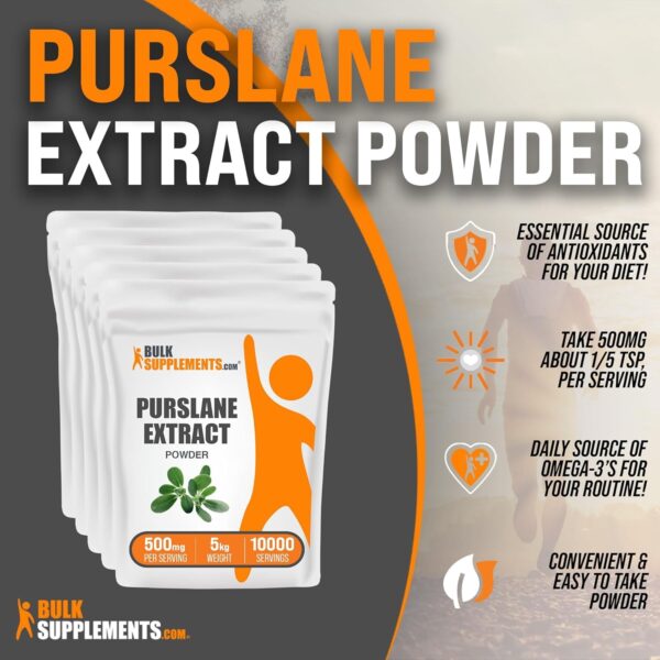 BulkSupplements.com Purslane Extract Powder – Portulaca Oleracea Extract, Purslane Supplements – from Purslane Herb, Gluten Free, 500mg per Serving, 500g (1.1 lbs) (Pack of 1)