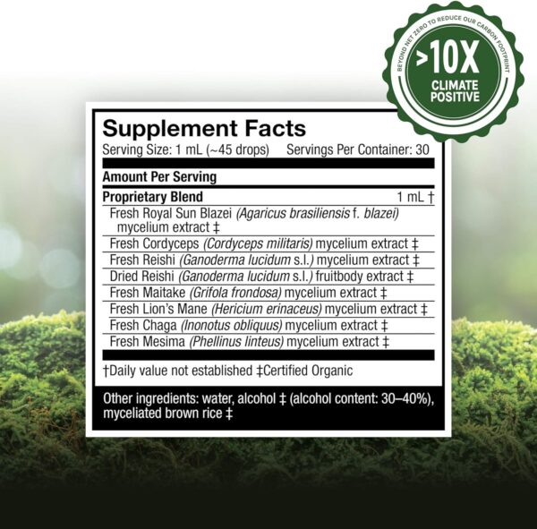 Host Defense Stamets 7 Extract – 7 Species Blend – Mushroom Supplement for Immune Support with Royal Sun Blazei, Cordyceps, Reishi, Maitake, Lion’s Mane, Chaga & Mesima – 2 fl oz (60 Servings)*