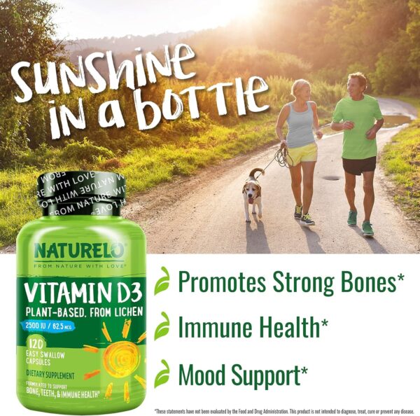 NATURELO Vitamin D3 – Lichen-Powered Immune Boost, with 2500 IU for Bone Health – Whole Food Formula – Vegan Gluten-Free – 180 Mini Capsules (2 Pack)