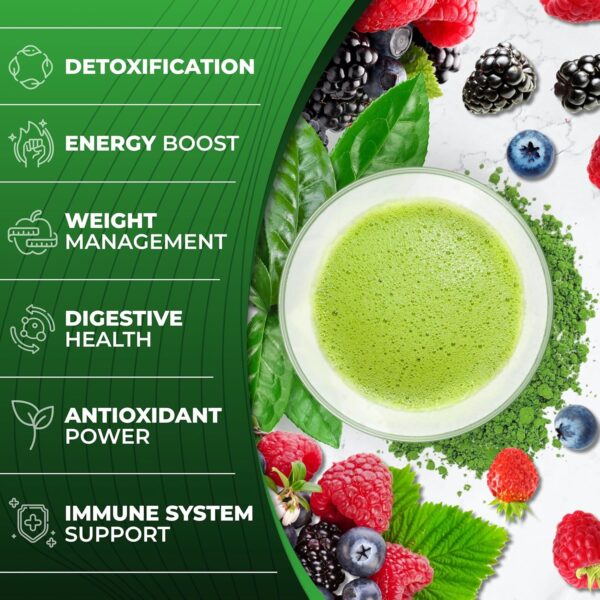 Total Tea Chiroflex Superfood Green Powder Organic Greens Fruit and Veggie Vegan Supplement, Daily Super Greens Powder,Amazing Greens Powder Smoothie, 30 Servings – 7.4 oz