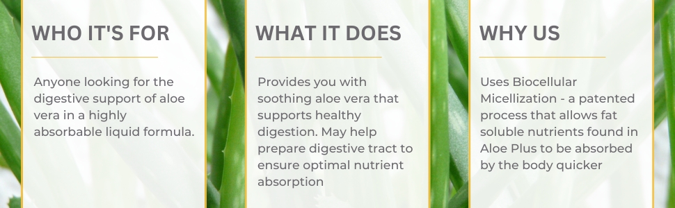 Aloe Plus Digestion Support Youngevity