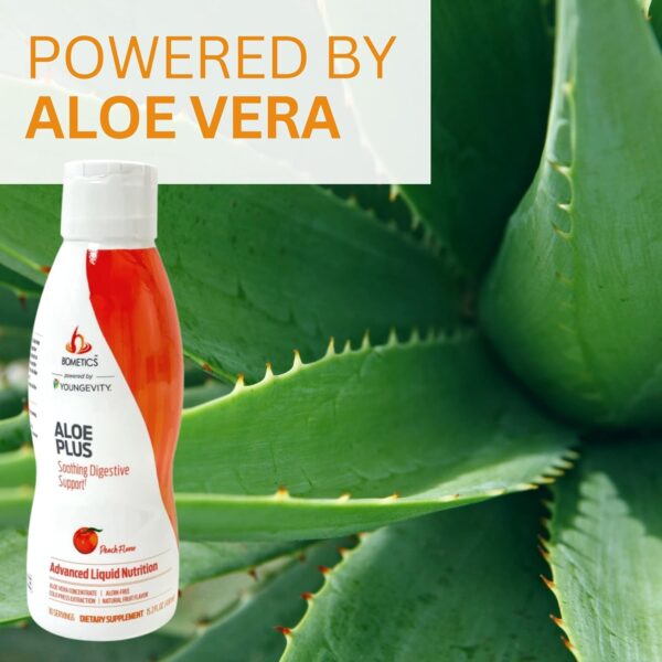 Aloe Plus – Soothing Digestive Support 15.2 Fl.Oz.