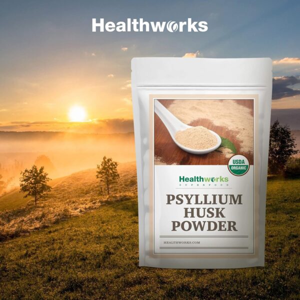 Healthworks Psyllium Husk Powder (16 Ounces / 1 Pound) | Raw | Certified Organic | Finely Ground Powder from India | Keto, Vegan & Non-GMO | Fiber Support