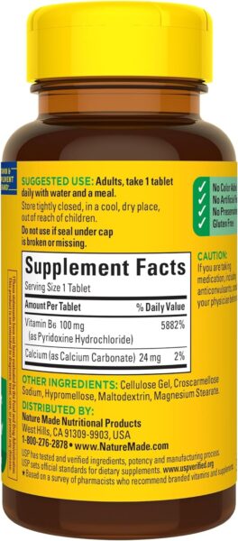 Nature Made Vitamin B-6 100 mg Tablets 100 ea (Pack of 4)