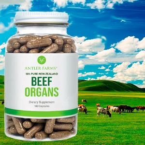 beef organs capsules supplement