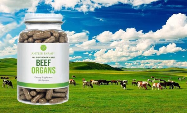 Antler Farms – 100% Pure New Zealand Beef Organs – Heart, Liver, Kidney, 180 Capsules, 400mg – Grass Fed, Cold Processed Supplement, Pure and Clean rBGH Free, No Fillers or Additives