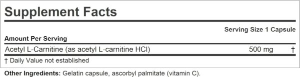 ANDREW LESSMAN Acetyl L-Carnitine 500 mg – 60 Capsules – Support for Nervous System, Fat and Energy Metabolism, Healthy Brain Function and Healthy Blood Flow to The Brain. Easy-to-Swallow Capsules.