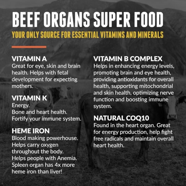 New Zealand 100% Grass Fed Beef Organs – (200 Count, 3,000mg Serving) Liver, Heart, Kidney, Pancreas, Spleen Supplement. Organ Meat Complex sourced from New Zealand