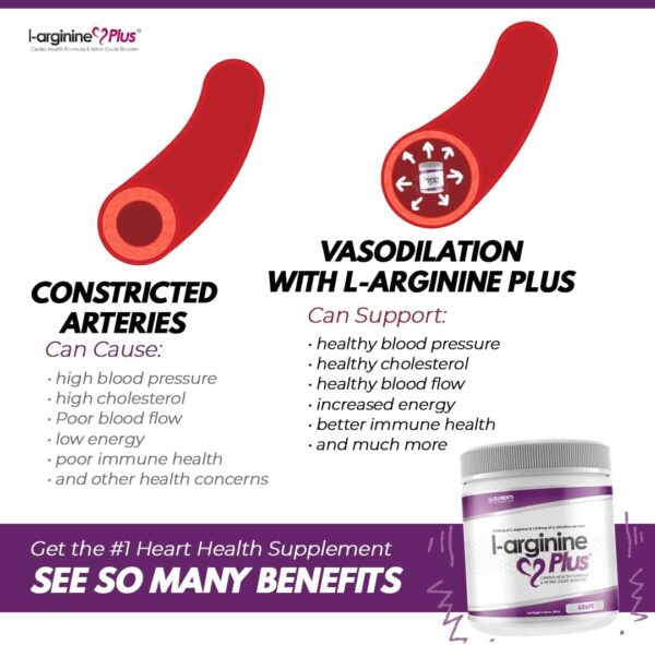 L-Arginine Plus – Multi Flavor 3-Pack – Premium L-arginine Formula with Three Flavors