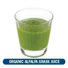 organic alfalfa grass juice