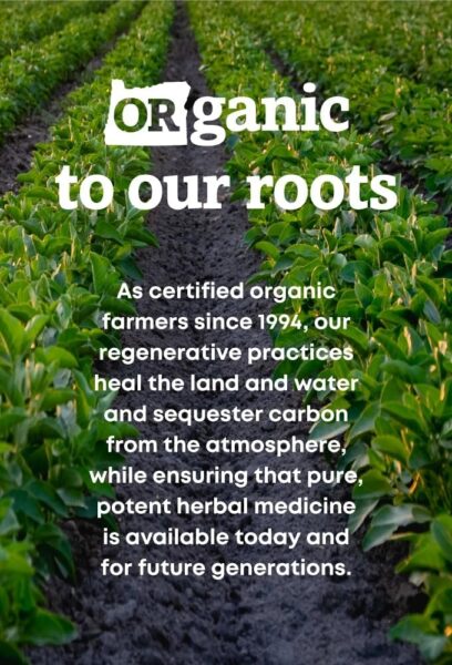 Oregon’s Wild Harvest Certified Organic Milk Thistle Dandelion Capsules, 80% Silymarin, Burdock and Artichoke, 90 Count