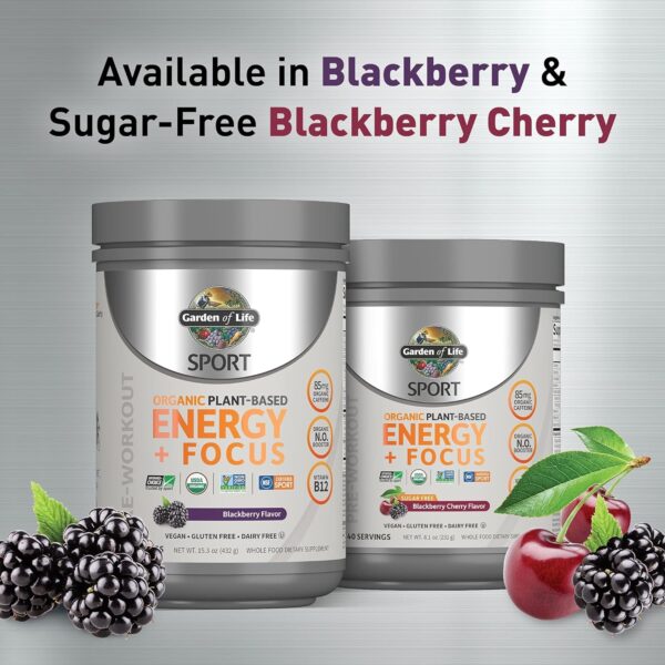 Garden of Life Sport Organic Plant-Based Energy + Focus Vegan Clean Pre Workout Powder, Sugar & Gluten Free BlackBerry Cherry with 85mg Caffeine, Natural NO Booster, B12, 40 Servings, 8.14 Oz