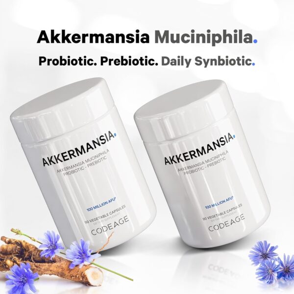 Codeage Akkermansia Muciniphila Probiotic Supplement – 3-Month Supply of Akkermansia Probiotic & Chicory Inulin – Daily Synbiotic Probiotic Chicory Root – 100 Million AFUs – Gluten-Free – 90 Capsules