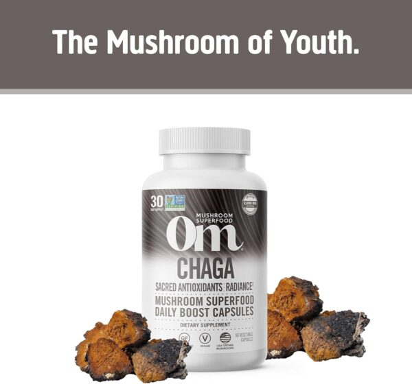 OM Mushroom Superfood Chaga Organic Mushroom Powder, 7.05 Ounce Pouch, 100 Servings, US Grown, Sacred Antioxidants & Immune Support, Superfood Mushroom Supplement