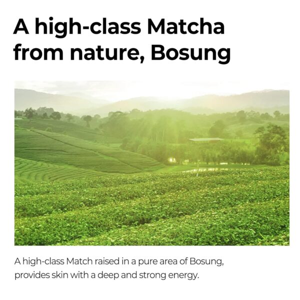 SOME BY MI Super Matcha Pore Tightening Serum – 1.69Oz, 50ml – Made from Match Water for Sensitive Skin – Skin Moisturizing and Purifying Effect – Blackheads, Sebum and Pore Care – Korean Skin Care