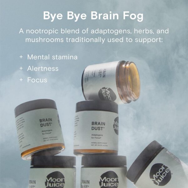 Brain Dust by Moon Juice | Brain Supplement for Memory & Focus | Lion’s Mane, Ashwagandha, Rhodiola, Maca Mushroom Supplement |