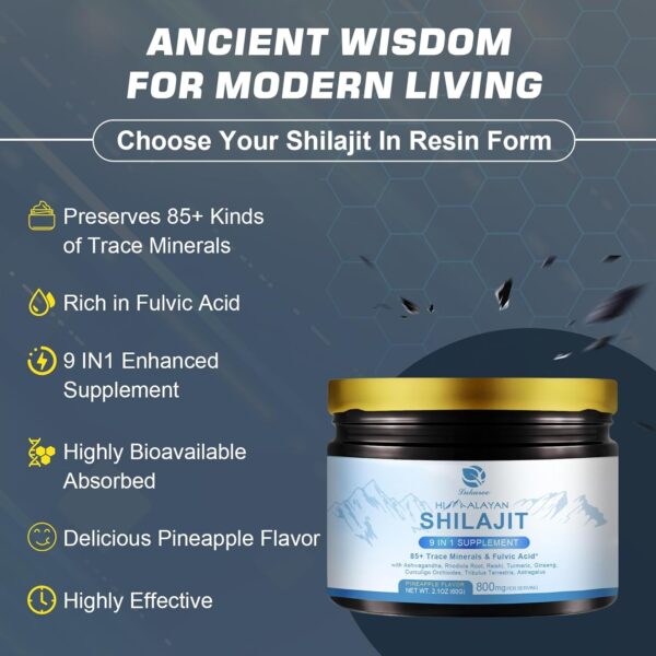 800Mg Himalayan Shilajit Resin, 9-in-1 Shilajit Supplement, Shilajit Pure Himalayan Organic, Ashwagandha, Rhodiola Rosea, Gingko