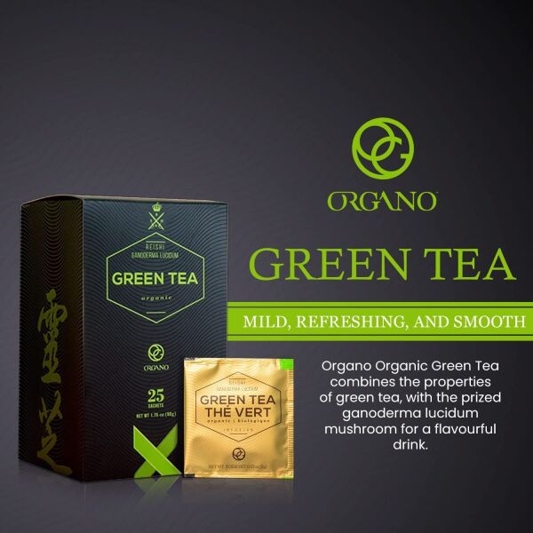 Organo Gold Green Tea with Ganoderma Lucidum (1 Box of 25 Sachets)