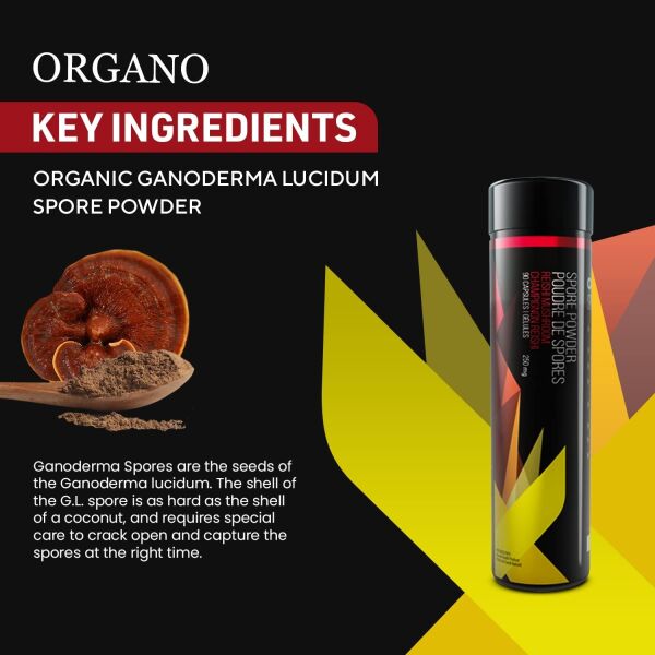 Organo OGX Spore Powder – Support Good Health – Ganoderma lucidum – Organic Reishi Mushrooms – Maximize Potency- 45 Servings