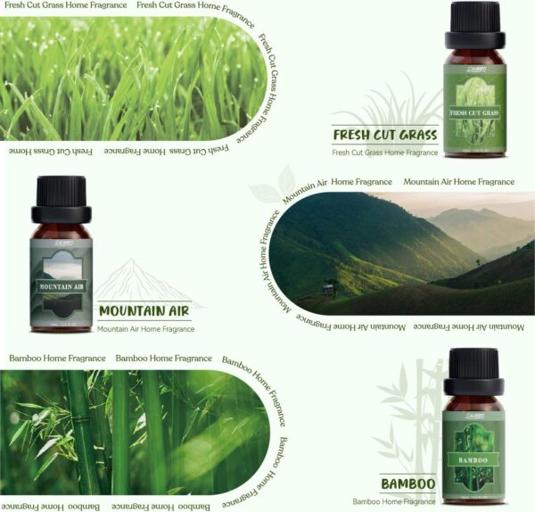 SALUBRITO Essential Oils Set, Nature Fragrance Oils Set – Forest Pine, Ocean Breeze, Rain, Fresh Cut Grass, Mountain Air,